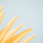 Ukázkový článek 2