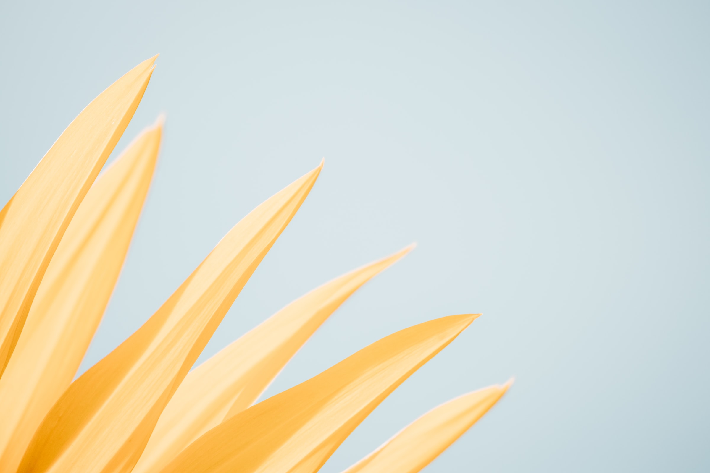 Ukázkový článek 2